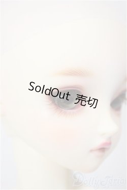 画像3: SDGr女の子/ルチア　アンティークスタイリスト Ver./BJD　球体関節人形 A-26-1-4-105-NY-ZA