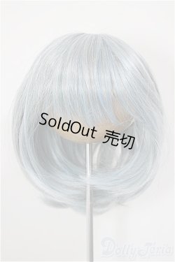 画像1: 8-9inch/ウィッグ/インチ　BJD　MJD　ドール用 A-26-1-4-166-NY-ZA