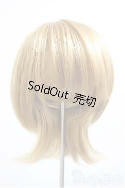 画像1: 9-10inch/ウィッグ/インチ　BJD　MJD　ドール用 A-26-01-14-142-NY-ZA