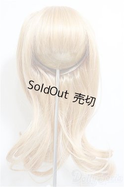 画像1: 9-10inch/ウィッグ/インチ　BJD　MJD　ドール用 A-26-01-14-144-NY-ZA