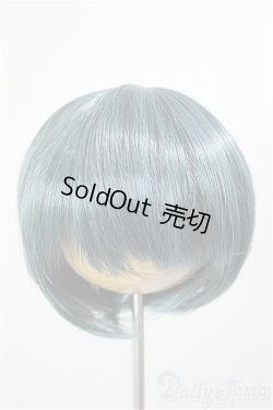 画像1: 8-9inch/ウィッグ/インチ　BJD　MJD　ドール用 A-26-01-14-127-NY-ZA