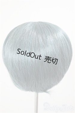 画像2: 8-9inch/ウィッグ/インチ　BJD　MJD　ドール用 A-26-01-14-127-NY-ZA