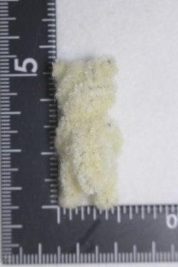 画像2: ネオブライス/OF:小物/ファッションドール　衣装 A-26-01-07-059-NY-ZA