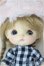 画像1: AYO　DOLL/こまったちゃん/BJD　球体関節人形 A-26-01-04-272-NY-ZA (1)