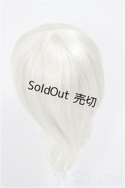 画像2: 8-9inch/ウィッグ/インチ　BJD　MJD　ドール用 A-26-01-04-355-NY-ZA