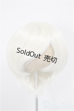 画像1: 8-9inch/ウィッグ/インチ　BJD　MJD　ドール用 A-26-01-04-356-NY-ZA