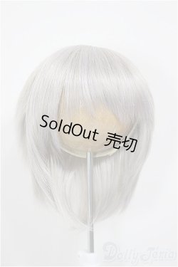 画像1: 8-9inch/ウィッグ/インチ　BJD　MJD　ドール用 A-26-01-04-351-NY-ZA