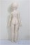 画像6: MDD/こうめ/BJD　球体関節人形 A-25-01-04-400-NY-ZA (6)