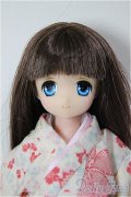 AZONE/謹賀新年2015/サアラ/0 A-26-01-04-262-YB-ZA