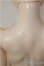 画像5: DOLL PAMM/Maid CANNA/BJD　球体関節人形 A-26-01-21-198-NY-ZA (5)