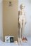 画像6: DOLL PAMM/Maid CANNA/BJD　球体関節人形 A-26-01-21-198-NY-ZA (6)