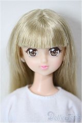 リカちゃんキャッスル/AG フェリス/BJD　球体関節人形 A-26-01-04-384-NY-ZA