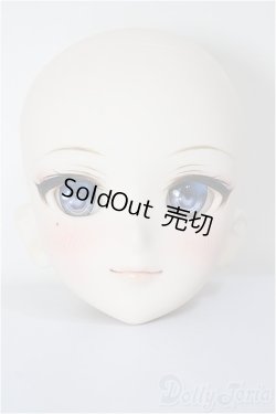 画像1: DDH-09/FANTASTIC WORLD様 カスタムヘッド/BJD　球体関節人形 A-26-01-14-352-NY-ZA