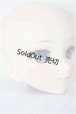 画像3: DDH-09/FANTASTIC WORLD様 カスタムヘッド/BJD　球体関節人形 A-26-01-14-352-NY-ZA