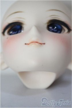 画像7: DDH-09/FANTASTIC WORLD様 カスタムヘッド/BJD　球体関節人形 A-26-01-14-352-NY-ZA