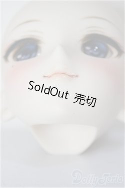 画像7: DDH-09/FANTASTIC WORLD様 カスタムヘッド/BJD　球体関節人形 A-26-01-14-352-NY-ZA