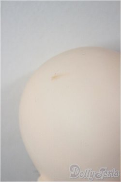 画像9: Harmonia bloom/カスタム/ A-26-01-21-396-NY-ZA