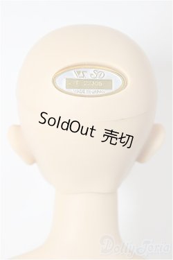 画像2: SDGｒ男の子/F-101　フルチョイス/BJD　球体関節人形 A-26-01-28-252-NY-ZA