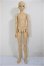 画像3: SDGｒ男の子/F-101　フルチョイス/BJD　球体関節人形 A-26-01-28-252-NY-ZA (3)
