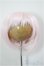 画像1: 9inch/ウィッグ/インチ　BJD　MJD　ドール用 A-26-01-14-270-NY-ZA (1)