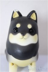 Studio L9&Arcadia/Mong!/BJD　球体関節人形 A-26-01-14-283-NY-ZA