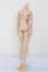 画像2: 27ｃｍサイズ/女性ボディ/ A-26-01-14-322-NY-ZA (2)