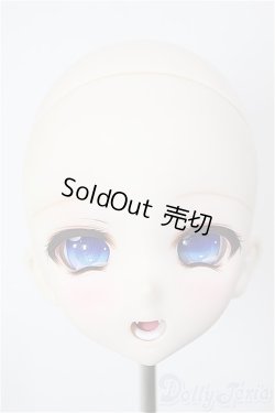 画像1: DD/DDH-10 (カスタマー様)カスタムヘッド/BJD　球体関節人形 A-26-01-21-214-NY-ZA