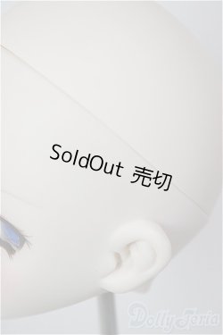 画像5: DD/DDH-10 (カスタマー様)カスタムヘッド/BJD　球体関節人形 A-26-01-21-214-NY-ZA