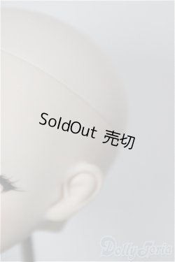 画像5: DDH-09カスタムヘッド/BJD　球体関節人形 A-26-01-21-208-NY-ZA