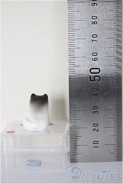 画像2: KUMUKUKU/Randy/BJD　球体関節人形 A-26-01-07-290-NY-ZA