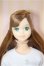 画像1: リカちゃんキャッスル/ジェーン　2024年12月ジェニー＆フレンズクラブ/BJD　球体関節人形 A-26-01-21-113-NY-ZA (1)