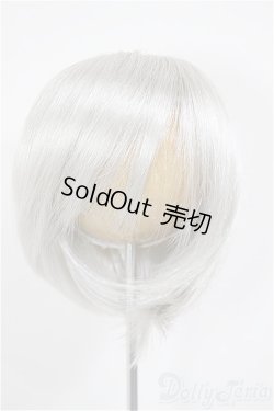 画像1: 9inch/ウィッグ/インチ　BJD　MJD　ドール用 A-26-01-14-242-NY-ZA