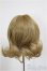 画像2: 8inch/ウィッグ/インチ　BJD　MJD　ドール用 A-26-01-14-241-NY-ZA (2)