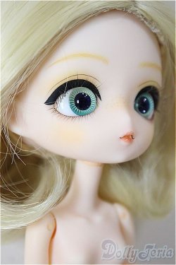 画像3: ハルモニアブルーム　Harmonia bloom/パンジー/ A-26-01-14-301-NY-ZA