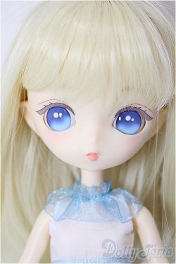 画像1: ニア・ハルモニア/キュリアス/ A-26-01-14-302-NY-ZA