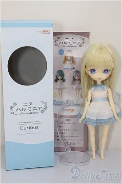 画像6: ニア・ハルモニア/キュリアス/ A-26-01-14-302-NY-ZA