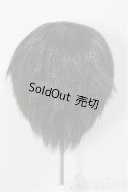 画像2: 8-9inch/ウィッグ/インチ　BJD　MJD　ドール用 A-26-01-14-261-NY-ZA