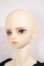 画像2: SDGｒ男の子/F-35 A-26-05-12-251-NY-ZA (2)