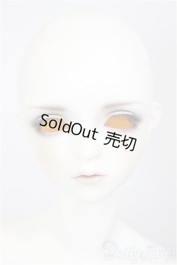 画像2: SDGrB/フルチョイス:F-105(つきみ様メイク)/BJD　球体関節人形 A-26-01-14-211-NY-ZA