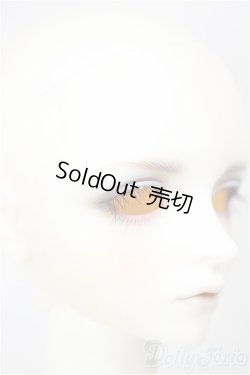 画像3: SDGrB/フルチョイス:F-105(つきみ様メイク)/BJD　球体関節人形 A-26-01-14-211-NY-ZA