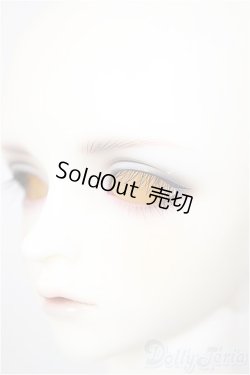 画像4: SDGrB/フルチョイス:F-105(つきみ様メイク)/BJD　球体関節人形 A-26-01-14-211-NY-ZA