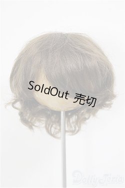 画像1: 8-9inch/W-171D-2:ウィッグ/インチ　BJD　MJD　ドール用 A-26-01-14-226-NY-ZA