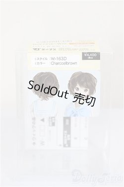 画像3: 8-9inch/W-171D-2:ウィッグ/インチ　BJD　MJD　ドール用 A-26-01-14-226-NY-ZA