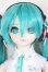 画像1: DD/初音ミク NT/BJD　球体関節人形 A-26-01-21-199-NY-ZA (1)