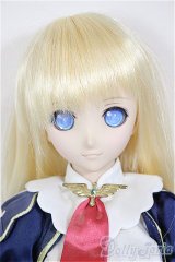 DD/エアリィ/BJD　球体関節人形 A-26-02-04-200-NY-ZA