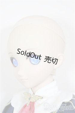 画像2: DD/エアリィ/BJD　球体関節人形 A-26-02-04-200-NY-ZA