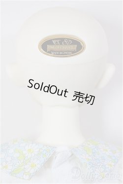 画像5: SD/みるく　ワンオフ：aone様メイク/BJD　球体関節人形 A-26-01-21-203-NY-ZA