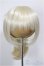画像1: 8-9inch/ウィッグ/インチ　BJD　MJD　ドール用 A-26-01-21-247-NY-ZA (1)