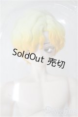 シチリアの追憶/ゴールデンレトリバー/ A-26-02-04-334-NY-ZA