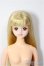 画像1: ジェニー/NEWジェニー/BJD　球体関節人形 A-26-01-21-345-NY-ZA (1)
